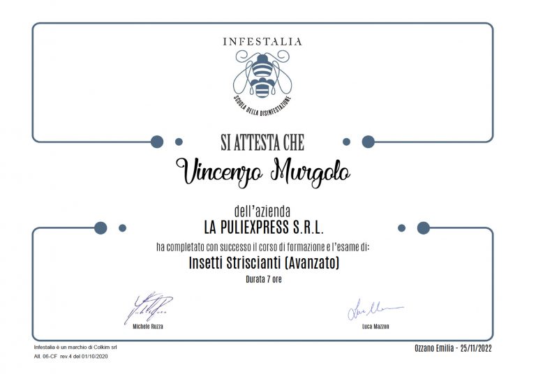 Attestato di partecipazione Vincenzo Murgolo - corso di formazione e esame di  Insetti Striscianti (Avanzato)
